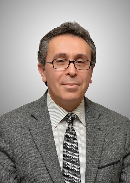 Prof. Dr. Mürteza Bedir